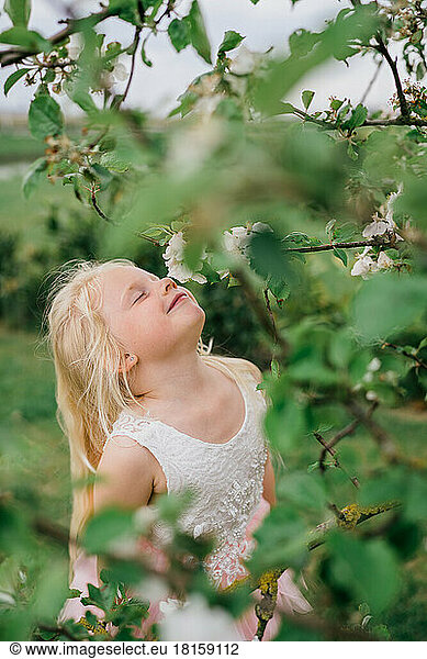 Young girl smelling the apple blossom.