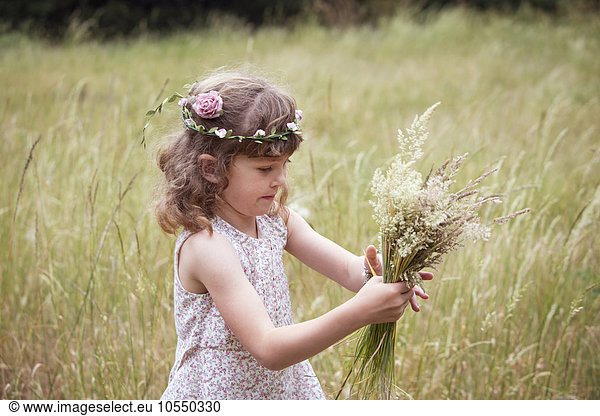 Young girl with flowers in her hair picking wild flowers in a meadow.