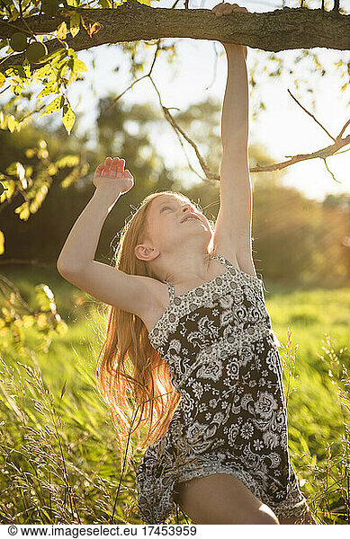 Young girl with red hair grabbing a tree branch  backlit  flare.