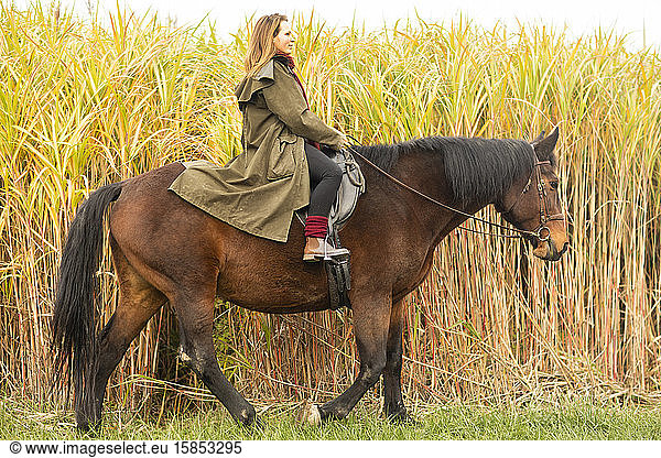 young horsewoman with a horse outeside riding