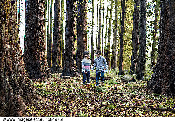 young kids holding hands in the forest.