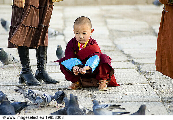 Young lama  Gandan Monastery  Ulaanbaatar  Mongolia