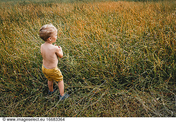 Young male toddler topless walking in the grass during summer