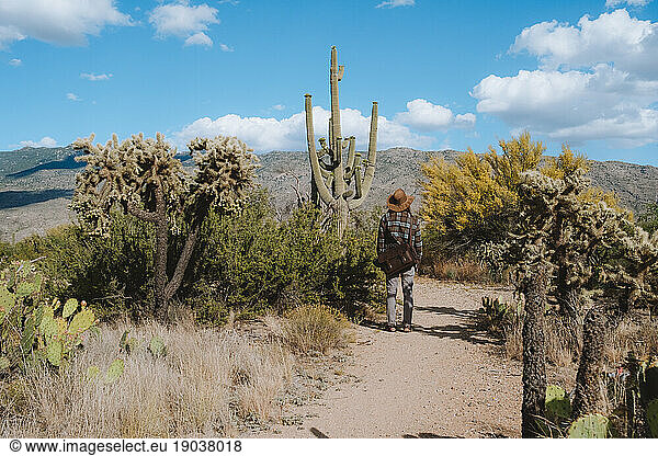 Young man day hiking through Saguaro Forests in the Sonoran Desert