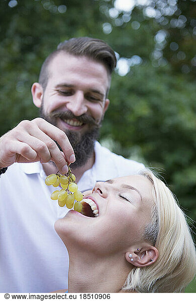Young man feeding grapes to his wife in garden  Bavaria  Germany