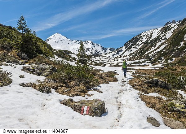 Young man  hiker walking in mountain landscape with residual snow  Rohrmoos Obertal  Schladming Tauern  Schladming  Styria  Austria  Europe