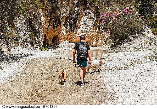 Young man hiking with his dogs