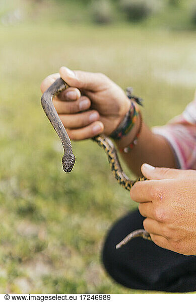 Young man holding viper snake in forest