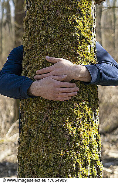 Young man hugging tree on sunny day
