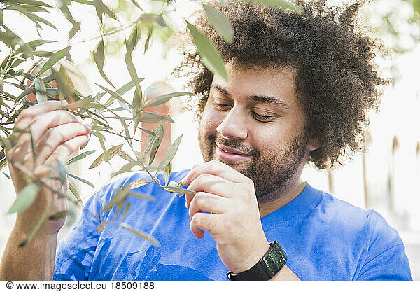 Young man looking at olive tree