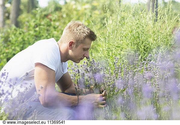 Young man smelling flowers in urban garden