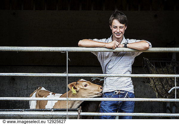 Young man standing in a barn with a Guernsey calf  smiling at camera.