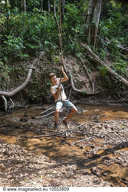 Young man  tourist swinging on a vine in the jungle  tropical rain forest  Taman Negara  Malaysia  Asia