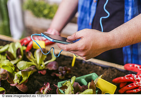 Young man using smartphone in his urban garden
