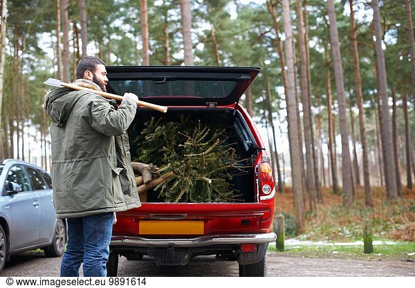 Young man with axe and chopped Christmas tree in car boot