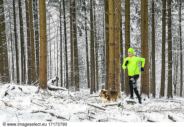 Young man with Shetland Sheepdog running in forest during winter