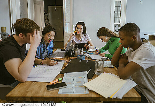 young multiracial friends studying while doing homework at dining table