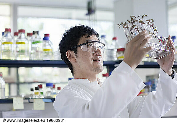 young scientist male chinese working in laboratory