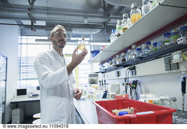 Young scientist working in a pharmacy laboratory