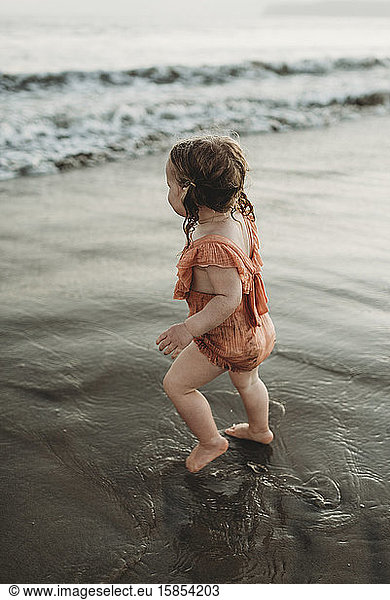 Young toddler girl with pigtails walking into the ocean
