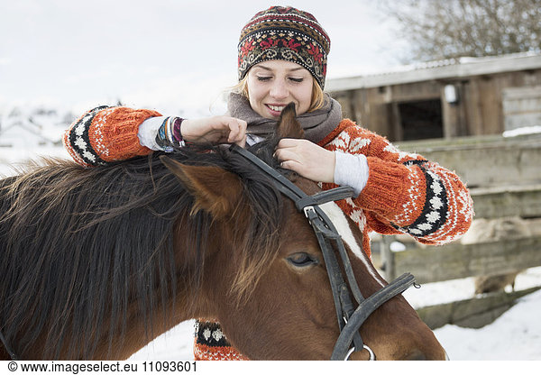 Young woman adjusting bridle her horse for riding  Bavaria  Germany