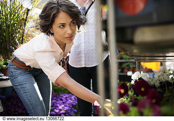 Young woman choosing flowers at shop
