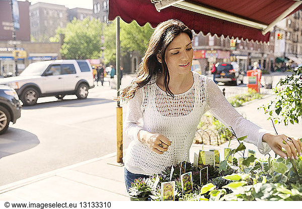 Young woman choosing potted plants at market stall
