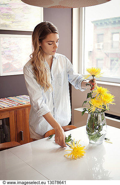 Young woman decorating vase with Chrysanthemums at home