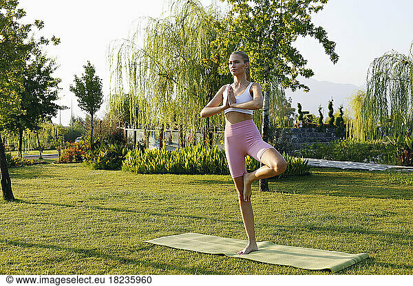 Young woman doing vrikshasana pose in park