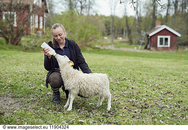 Young woman feeding milk from bottle to lamb on field