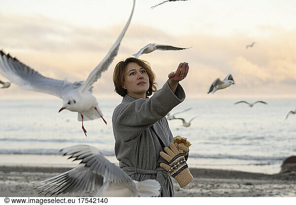 Young woman feeding seagulls at sunset