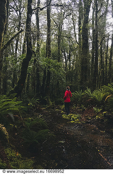 Young woman hiking through lush forests at Milford Sound  New Zealand