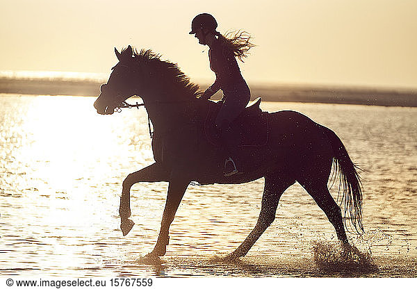 Young woman horseback riding in ocean surf at sunset