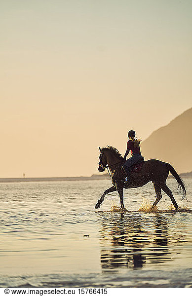Young woman horseback riding in tranquil sunset ocean surf