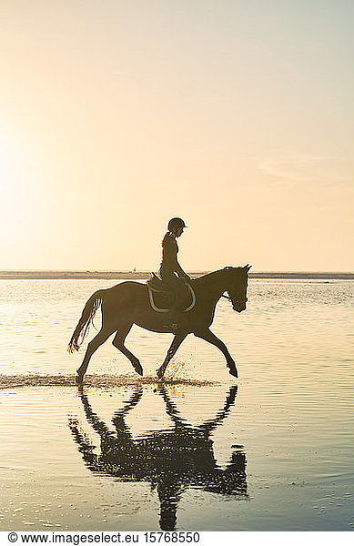 Young woman horseback riding in tranquil sunset surf