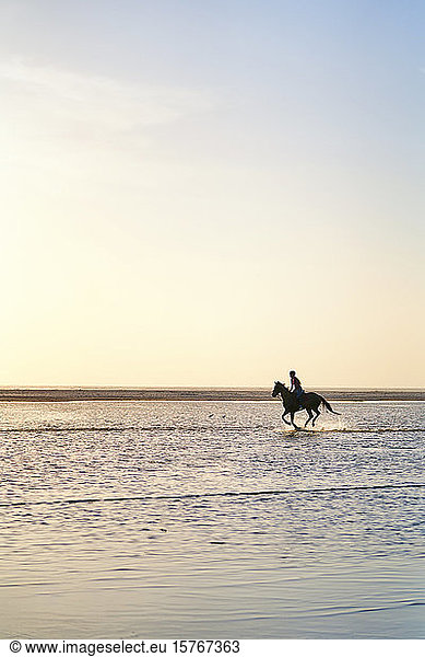 Young woman horseback riding running in ocean surf