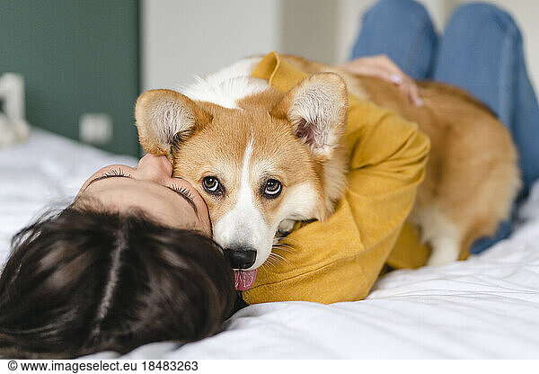 Young woman hugging Pembroke Welsh Corgi on bed at home