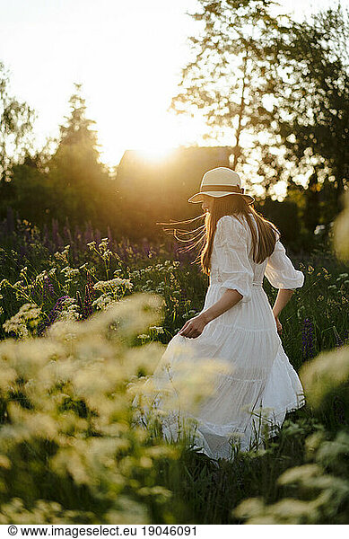 Young woman in a dress and hat in a lupine field  rustic style.