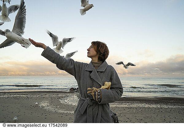 Young woman in overcoat feeding seagulls at beach
