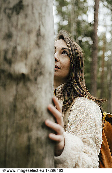 Young woman looking at tree in forest