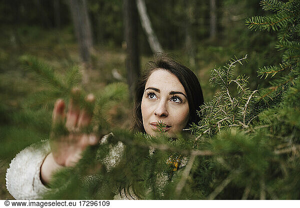 Young woman looking up by plant in forest