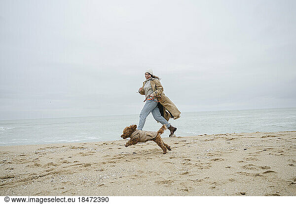 Young woman playing with dog on sand at beach