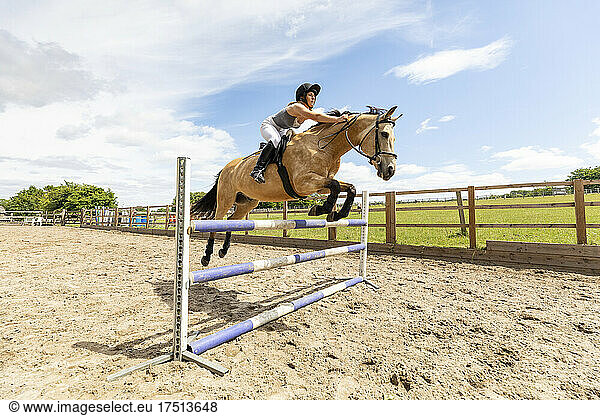 Young woman riding a horse and jumping over the hurdle