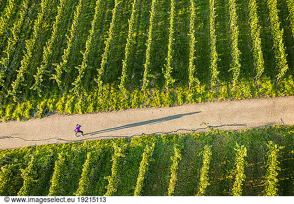 Young woman running on footpath at vineyard