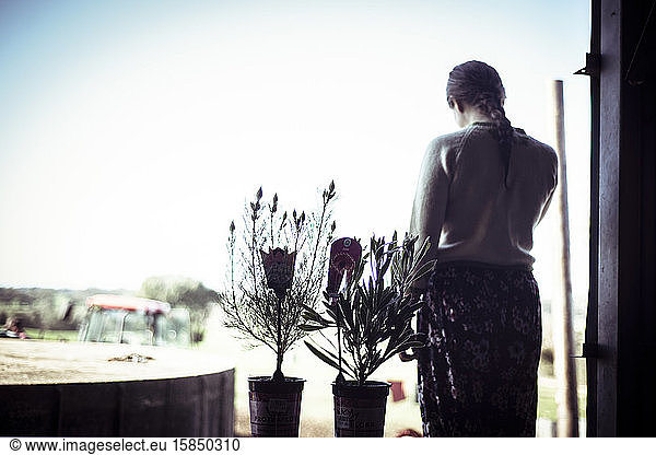 Young woman stands in window silhouette with flowers looking at farm