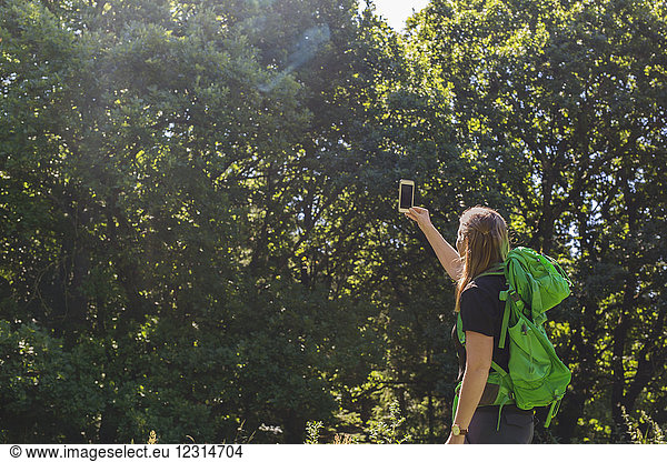 Young woman taking photo with smartphone in meadow