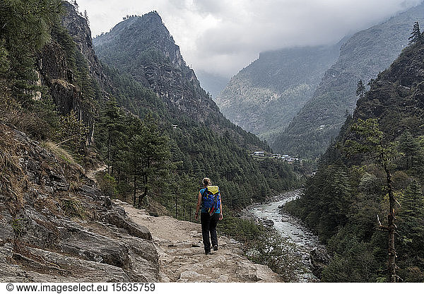 Young woman trekking in the Himalayas near Manjo  Solo Khumbu  Nepal