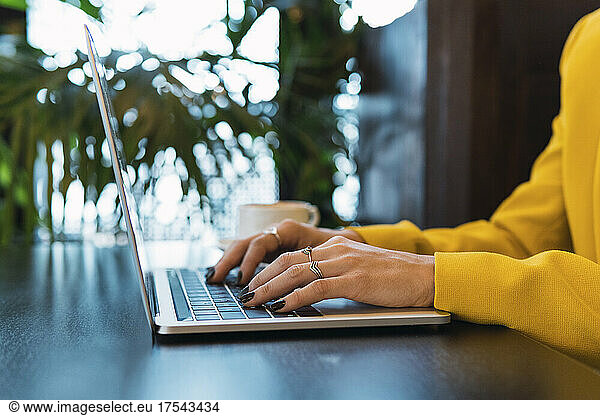 Young woman using laptop at coffee shop