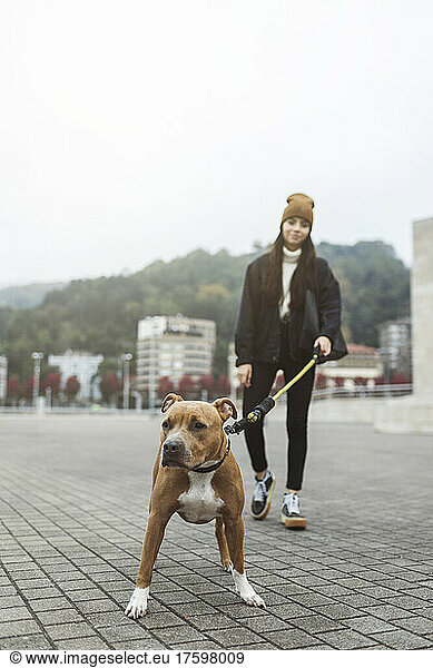 Young woman walking with dog on footpath
