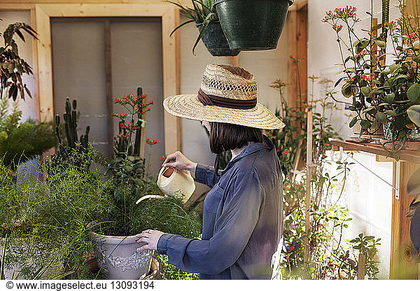 Young woman watering potted plants at greenhouse